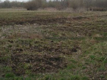 Земельна ділянка від власника 10 соток Терміновий продаж! Бориспіль