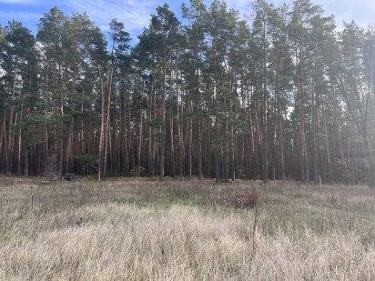 Зел.пол-3, ділянка 10сот. що примикає до лісу, в 10хв від м.Лісова Бровари