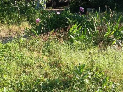 Продается участок, 16-я станция Большого Фонтана, улица Дубовая роща Одеса