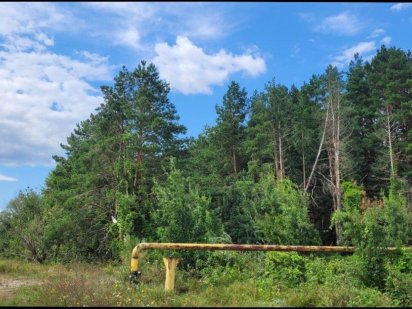 ТОП участок возле Киева, Киево-Святошенский р-н Буча, лес, озеро рядом