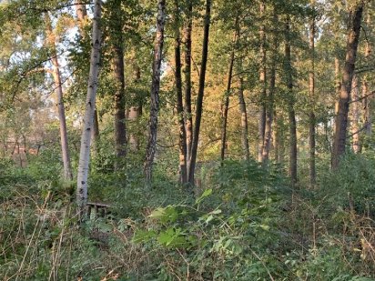 Земельна ділянка. Лісова Буча.  10 соток.