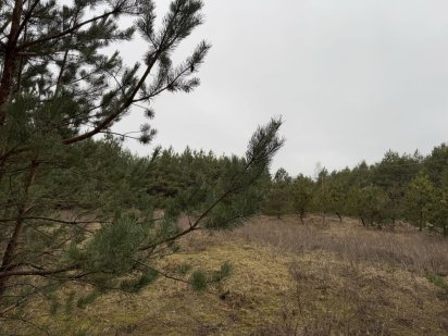 Земля! Агрофірма . 4,5000 га. Буча