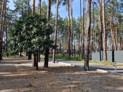 Продаж землі  Буча, в лісовій зоні. БЕЗ КОМІСІЇ.