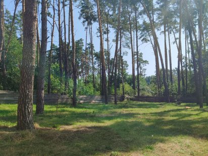 Продаж ділянки від хазяїна в Лісовій Бучі! Буча