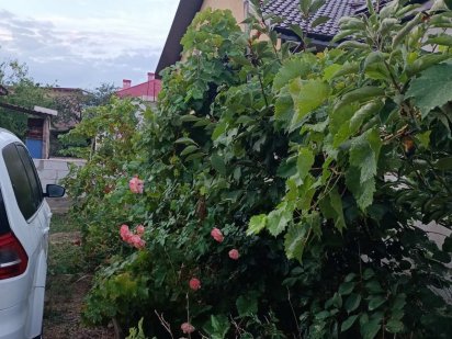 Продам участок Царское село 1,ж/м Дружный,Ул.Светлая, 5 соток госакт Одесса