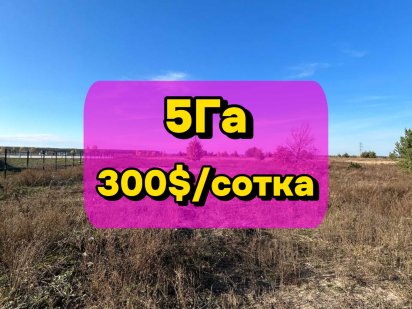 Краща земельна ділянка під Ваш бізнес в Бучі! 5Га біля траси і Києва