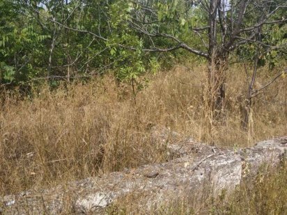 Продам участок в Барабоях Одеса