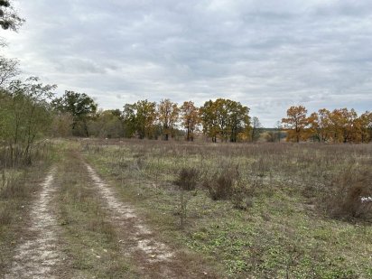 Земельна ділянка 3га. Буча.