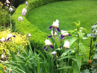 Продам участок с дачей на Фонтане в живописном дачном кооперативе! Одеса