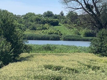 Продам участок під забудову Вишневе