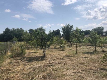 Земля в Гоголеві