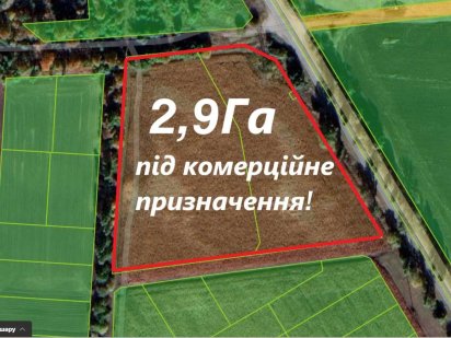 Бориспіль, Рогозів Фасадна ділянка 2,9Га під комерцію! Бориспіль