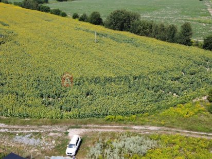 Продаж земельної ділянки м. Бориспіль Бориспіль