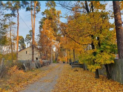 Земельна ділянка в центрі Бучі 38сот