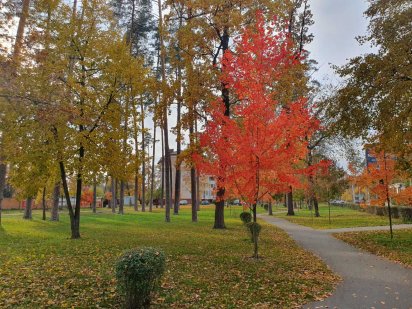 Лісова Буча продаж ділянки 38 соток.