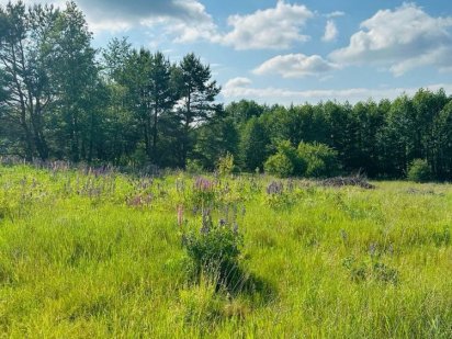 Земельна ділянка під забудову! Вул. Симиренка