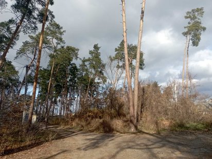 ТОП 18 сотих землі в РАЙСЬКОМУ та Затишному місці! З комунікаціями !!! Ірпінь