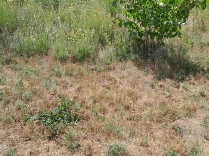 Продаж участку під забудівлю Кременчук