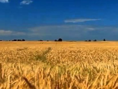 Земельный пай  сельхозназначения. Кременчук