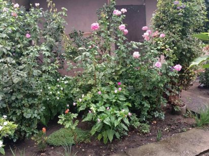 Продається будинок ( дачя) Кривий Ріг