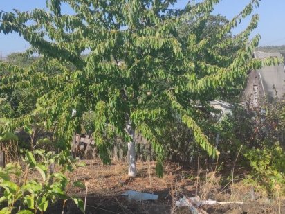 Продается дача.. Кривий Ріг