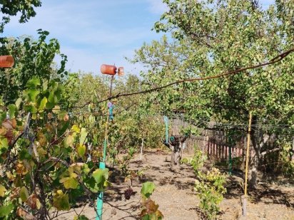 Продам дачу.конечная скоросного 5й Заречный .кооператив Вагонник. Кривий Ріг