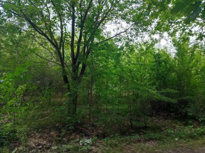 Ділянка Дача Дем'янів Лаз Івано-Франківськ