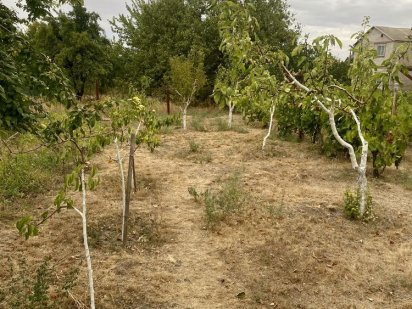 Ділянка землі 6 соток ( паром) Кривий Ріг