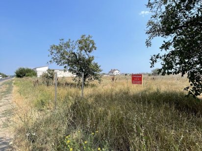 Земельный Участок 1.61 га Черноморка Зеленый Гай Земля Одеса