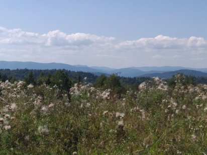 Продам приватизированный участок на Николаевском шоссе Кривой Рог