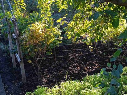 Продается дачный участок Кривий Ріг