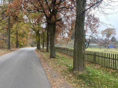 Земельна ділянка, Біля лісу, центральна дорога, біля Боголюб Лікарні Луцк