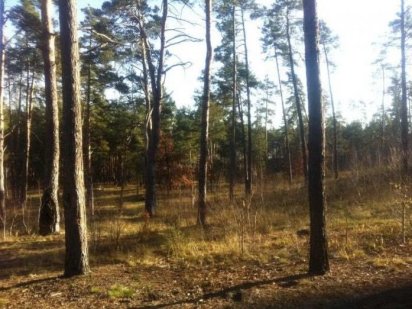 Земельна ділянка Ірпінь, вул. Львівська (Grand Admiral) Ирпень