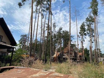 Чудова ділянка між соснами з фундаментом