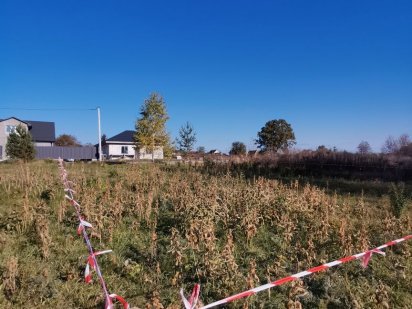 Продам панарамну видову земельну ділянку 7,62 сот Без Комісії Софіївська Борщагівка