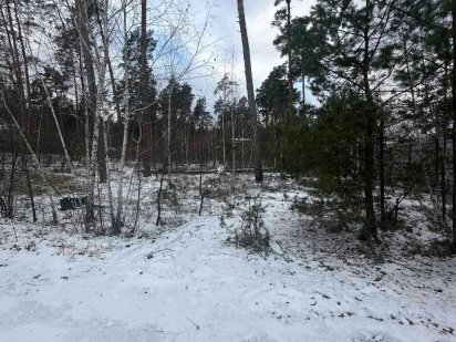 Земельна Ділянка 12 соток, Ірпінь, СОСНОВА РОЩА Ирпень