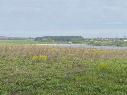 Боголюби , земля 1 га , ліс , озеро Луцк