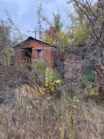 Сдам в оренду(безкоштовно)Дачу в Березанке СТ «Сновʼянка» - фото 1