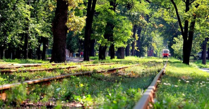 Здам в довгострокову оренду земельну ділянку в Пущі -Водиці - фото 1