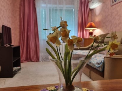 Сдам посуточно 2комн в центре. Кременчук