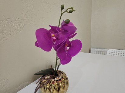 2 кім кв ЖК Дрім таун Луцк