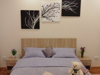 Подобова оренда, центр, Чернівці. Власник! Черновцы