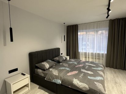 Подобова оренда. 2 кімнатна квартира. Центральна частина міста! Ужгород