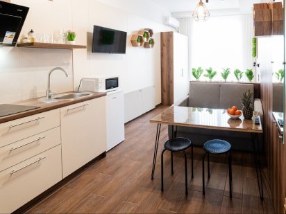 квартири подобово‼️Смарт- квартири Зручне розташування Кращий сервіс Ужгород