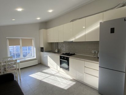 Подобово  1 кімнатна  квартира  Боздош Ужгород