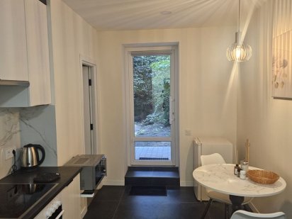 Подобова оренда  квартири  классу люкс від власника  в центрі міста. Львов