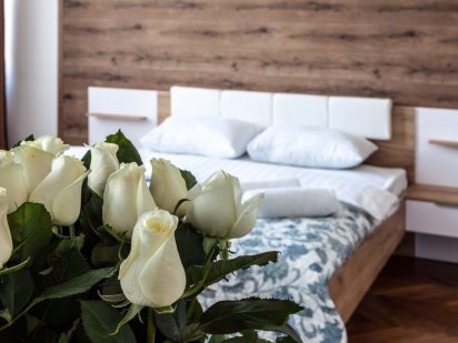 VIP апартаменти в центрі міста. Подобова оренда! Львов