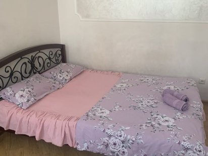 Подобова оренда 1 кімн квартири Львів, Центр! вул. Куліша ( ТЦ Форум) Львів