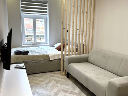 Власник . Новий ремонт . Площа Ринок, Подобово у Львові Львів