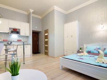 Подобово студіо в центрі, вул. К. Левицкого Львов